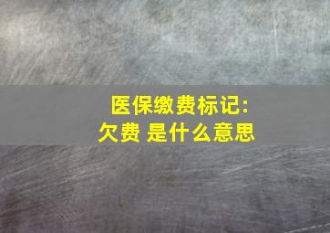 医保缴费标记:欠费 是什么意思